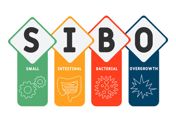 SIBO - Small Intestinal Bacterial Overgrowth acronym. medical concept background. vector illustration concept with keywords and icons. lettering illustration with icons for web banner, flyer, landing