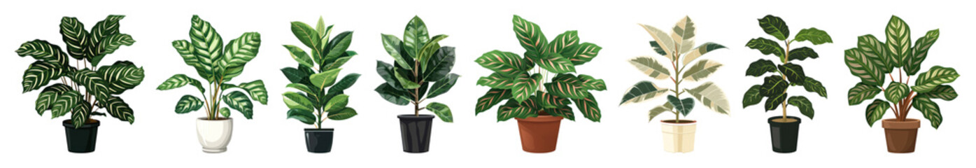 Obraz premium PNG Illustration of seven potted houseplants in various styles element set on transparent background.
