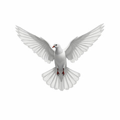 Obraz premium Hand drawn flying pigeon against white background