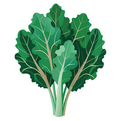 Fototapeta premium a bunch of kale with deep green leaves and subtle hues