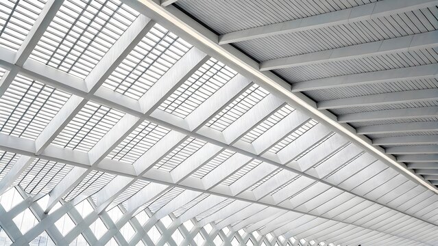 Modern Architectural Ceiling Structure