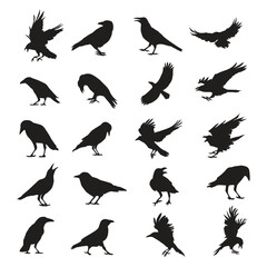Vector silhouette set of various birds in flight and perched poses for design and illustration