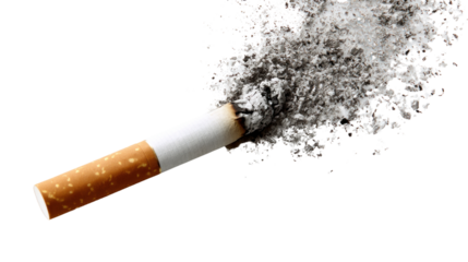 Cigarette Ashes: A visual portrayal of a lit cigarette, the focus sharply on the delicate trail of ash. Highlighting the harmful effects of smoking and the inevitable consequence of tobacco use.