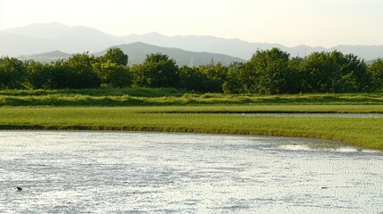Serene Rural Pond with Mountain View.