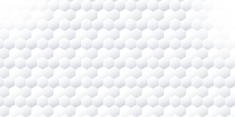 Abstract. Embossed Hexagon , honeycomb white Background ,light and shadow. geometric mesh cell texture. vector wallpaper with hexagonal grid.