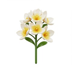 Fototapeta premium White and yellow flowers isolated on white background for decoration, cards.