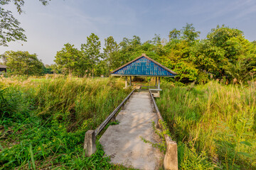 natural background of many species of plants that are laid out in the park, for the propagation of the species and to provide shade for those who stop by while traveling to study the ecology.