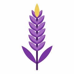 Lavender icon on white background