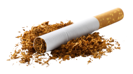 Cigarette and Tobacco: A close-up shot of a cigarette broken open, revealing its tobacco filling, scattered around it.