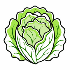 Lettuce outline icon on white background