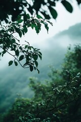 Realistic foggy forest with close-up of green leaves and dense mist
