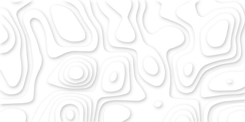 Abstract white paper cut background. 3d papercut topography relief vector background. Topographic canyon geometric map relief texture. Papercut decoration texture with seamless wavy layers.