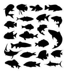 various fish species silhouette collection