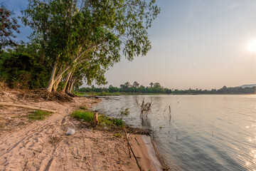 natural background of many species of plants that are laid out in the park, for the propagation of...