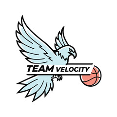 Flying Eagle Mascot Logo with Sports Team Text – Vector Emblem Design .