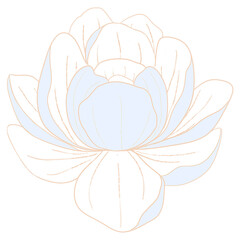 Blue x White Flower Illustration
