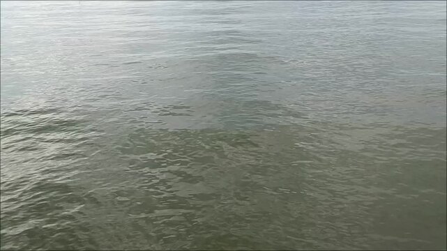The sea surface is flat and calm at low tide in the morning