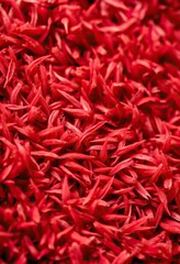 Fototapeta premium Close-up view of many small, dried flower petals.