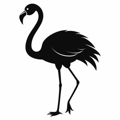 vector illustration of a ostrich