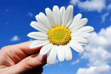 Hand Holding White Flower Against Blue Sky with Fluffy Clouds