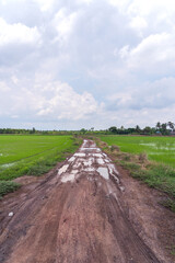 Puddles muddy from car wheels. obstacles on rural dirt road rainy season. view of rice fields on both sides sky and white clouds after rain in countryside Nakhon Pathom Thailand.