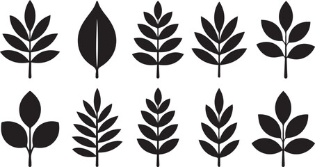 Twelve simple black leaf silhouettes nature icons