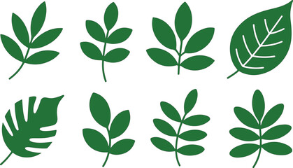 Green leaf illustrations nature botanical design elements
