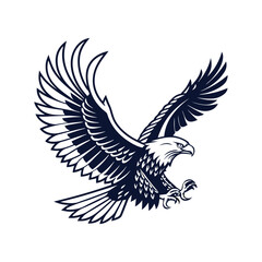 Obraz premium eagle with wings