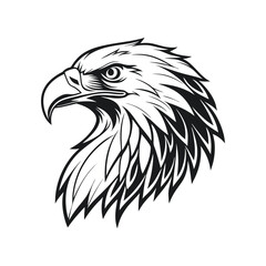 eagle head vector illustration