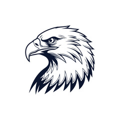 eagle head vector illustration
