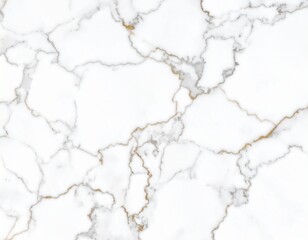 Obraz premium エレガントなホワイト＆ゴールド大理石テクスチャElegant White & Gold Marble Texture