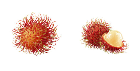 Close-Up of Rambutan Fruit with Red Spiky Skin and Transparent Flesh on a White Background
