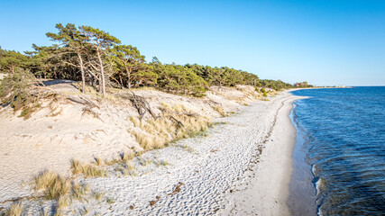 sandy beach with trees and sea, Poland, Hel