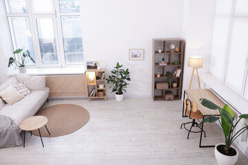 Stylish living room interior. Sofa, table, shelving unit and other furniture indoors, above view