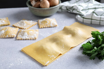 Uncooked ravioli and parsley on light table, closeup