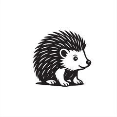 hedgehog on a white background
