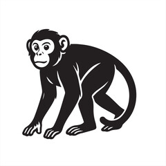 Obraz premium monkey