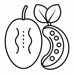 Mangelwurzel Bean outline icon on white background