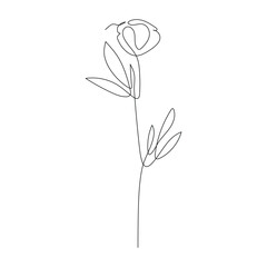 Rose-inspired single line art with modern minimalist leaves. Elegant and timeless floral sketch for tattoos, home wall decor, or feminine graphic assets