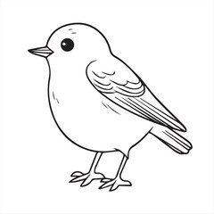 hand drawn vector illustration of a bird