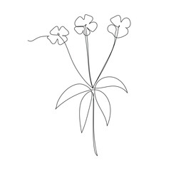 Minimalist one line floral drawing with three blooming flowers and curved leaves. Elegant continuous line art for modern decor, tattoo, or graphic design