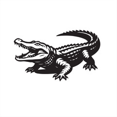 crocodile isolated on white background