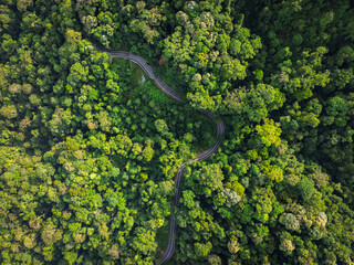 aerial view of road in the middle of rainforest