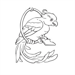 vector illustration of cartoon parrot