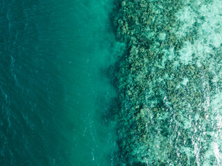 Stunning aerial view of a coral reef bordering crystal clear turquoise water, creating a breathtaking natural spectacle