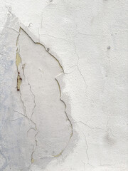 A contemporary urban wall serves as a distinctive background frame