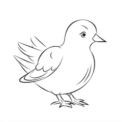 dove of peace vector