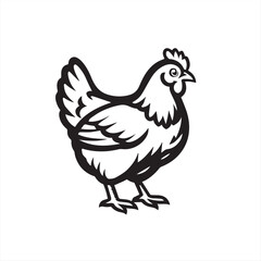 vector illustration of a chicken