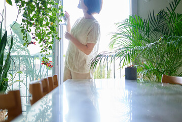 部屋の観葉植物に水をあげる女性