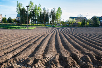 Spring morning on a plowed field with patterns in soil rows, trees and houses in the background,...